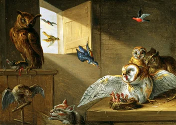 En familj ugglor, andra fåglar och en katt